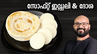 സോഫ്റ്റ് ഇഡ്ഡലി amp ദോശ  Soft Idli amp Dosa Recipe  Easy amp Perfect Idli Dosa Batter [upl. by Acireed]