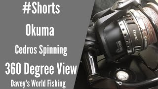 Okuma Cedros Spinning  360 Degree View  Shorts [upl. by Jacquet]