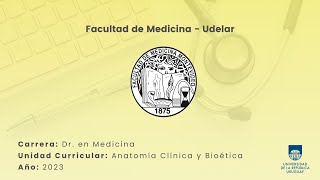 Articulación Coxo Femoral Parte 1 [upl. by Dielu]