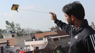 How to Fly a Kite  पतंग कैसे उड़ाए  Kite lover [upl. by Guyer]