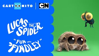 Lucas the Spider – Fun with Findley the Fly™  Short [upl. by Wauters]