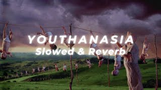 Megadeth  Youthanasia Slowed and Reverb [upl. by Yoshi206]