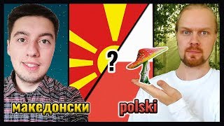 Macedonian Language VS Polish  How similar are Slavic Languages [upl. by Thebault723]