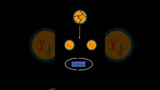 Part 1 Inside Cancer Cell Growth Checkpoints and Telomeres [upl. by Dnallor]