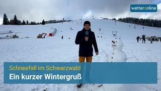 Schneefall im Schwarzwald  Ein kurzer Wintergruß [upl. by Nolyaw591]