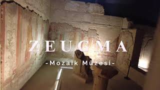 Zeugma Mosaico del Museo  Zeugma Mozaik Müzesi [upl. by Dario]