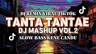 DJ TANTA TANTAE X DJ MASHUP V2  DJ REMIX SLOW BASS VIRAL TIKTOK [upl. by Inahpit]