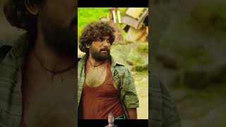 pushpa comedy alluarjun funny movie attitude october2018 october2018calendar motivation [upl. by Ebneter315]