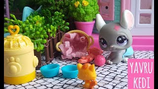 Minişler Yavru Kedi 🐾🐈 LPSEM miniş videoları izle  Littlest Pet Shop masalları [upl. by Boice]