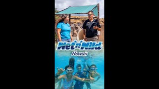 Energy Efficiency Case Study Wet’n’Wild Hawaii [upl. by Biles260]