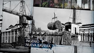 A 50 años del cierre de los ingenios  Informe Nueva Baviera  Famaillá [upl. by Ylebmik]