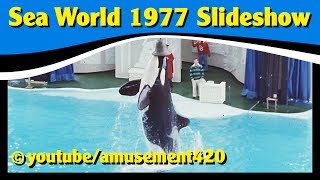 Sea World OH 1977 Shamu Super Hero Ski Show Marine Animals Geauga Lake in Background  amusement420 [upl. by Jarlath]