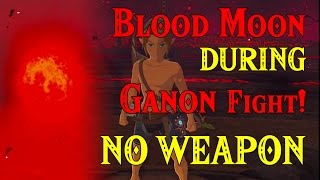 Blood Moon DURING Ganon Fight NO WEAPON  Link in Four Links Adventures within Zelda BotW [upl. by Inahc950]