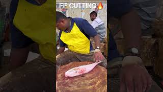 KASIMEDU🔥SPEED SELVAM LETHER JACKET FISH CUTTING VIDEO kasimeduselvam fishcutting youtubeshorts [upl. by Aeet]