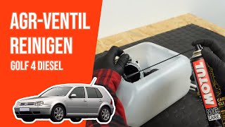 Wie GOLF 4 19 TDI AGRVentil reinigen ♻️ [upl. by Cud]