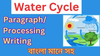 Water Cyclehydrological cycleparagraph writing water cycle process of water cycle [upl. by Tobiah]