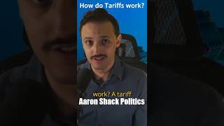 How do tariffs work What are tariffs Aaron explains tariffs  Aaron Shack Politics [upl. by Llebiram]