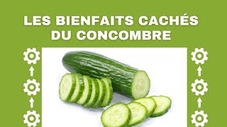 Bienfaits du concombre pour la santé  Meilleur Aliment [upl. by Rozele127]