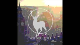 London Grammar  Hey Now Wild Culture More Sub Remix [upl. by Ivonne972]