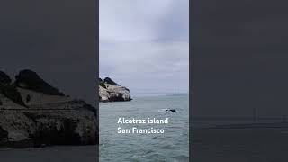 San Francisco Bay Alcatraz island San Francisco USA 🇺🇸 travel alcatraz sanfrancisco [upl. by Nellie620]