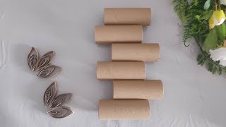 Look what I did with toilet paper rolls  DIY Recycling [upl. by Lesirg]