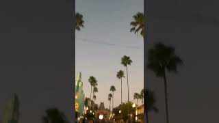 Running in Disneys Hollywood Studios shorts [upl. by Roybn]