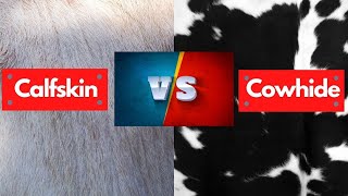 Calfskin Vs Cowhide  Which is Best amp Cheapest [upl. by Ettedo567]