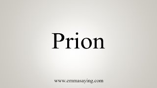 How To Say Prion [upl. by Einttirb480]