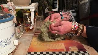 Medicinal Usnea Plant Double Decoction Tincture LIKE👍 SUBSCRIBE✅ RING THE BELL🔔 SHARE💖 [upl. by Ardnaed982]