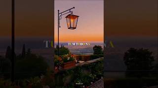 Tum Todo Na  Female  Sad Status Song  Whatsapp Status  Aesthetic Song  shorts trending sad [upl. by Chilson]