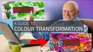 Controlnet Colour Transformation for anime and AMVs with Stable Diffusion [upl. by Babs]