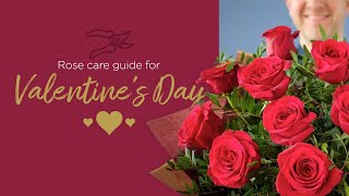 Flower care guide  Valentines Day [upl. by Akemak]