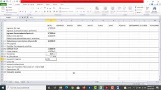 Pagos Provisionales PF Actividad Empresarial y Profesional [upl. by Doyle]