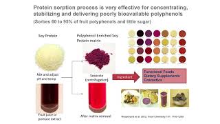 Health Effects of Phytochemicals from Foods [upl. by Babby896]