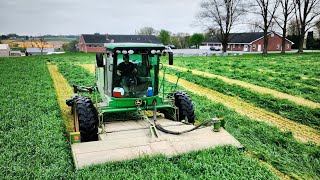 Ready to Mow Rye [upl. by Nnaael464]