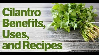 Cilantro Healing Power Benefits Plus Detox Juice and Iron Builder Recipes [upl. by Aehsal]