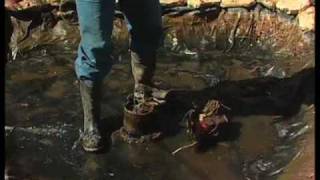 How To Clean Out A Water Pond Part 2 [upl. by Levy638]