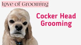 Grooming a Cocker Spaniels Head [upl. by Hough]