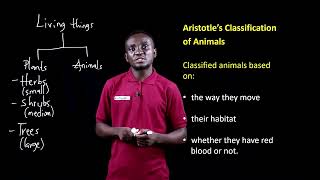 Lesson 9 Classification in Biology Aristotle [upl. by Meehahs868]