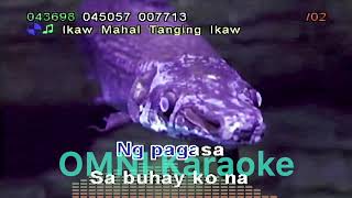 Tanging Ikaw  Renz Verano CX912 Karaoke [upl. by Adlesirg]