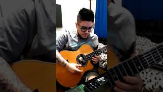 Romeo santos y Teodoro reyes  Ileso Requinto solo guitar [upl. by Yelserp293]