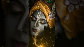 Meera Ke Prabhu Giridhar Nagar  Mira Ke Prabhu Giridhar Nagar Full Song  Tere Jiya Hor Disda Remix [upl. by Fleischer]