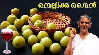 നെല്ലിക്ക വൈൻ ഉണ്ടാക്കാം  Gooseberry wine recipe  Annamma chedathi special [upl. by Priscella]