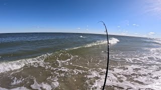 2024 November NJ Surf Fishing Striped Bass Fall Run [upl. by Dnamra]