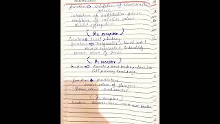 what is adrenergic drug pharmacology [upl. by Ennahgem]