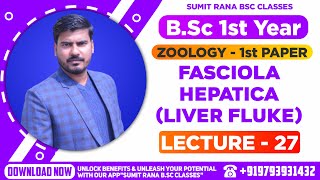 Lt27 Fasciola hepatica Liver Fluke Part  1  Zoology 1st Paper  BSc 1st Year [upl. by Einnol]