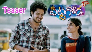 Pittagoda Telugu Movie Teaser  Viswadev Punarnavi  Pittagoda [upl. by Adnilim]