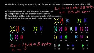 2N 1N N  Diploid Haploid  Chromosome number [upl. by Iong]