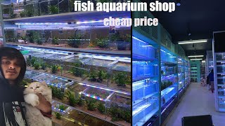 Aquarium fish are available at very low price🐟🐟 Cheapest price fish [upl. by Zeb224]