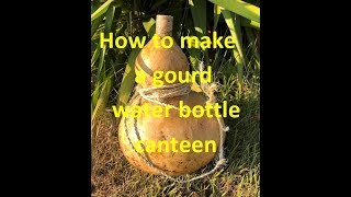 How to make a gourd water bottle canteen [upl. by Pris839]